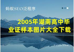 2005年湖南高中毕业证样本图片大全下载