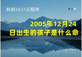 2005年12月24日出生的孩子是什么命