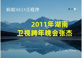 2011年湖南卫视跨年晚会张杰