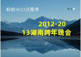 2012-2013湖南跨年晚会