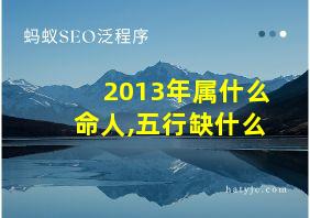 2013年属什么命人,五行缺什么