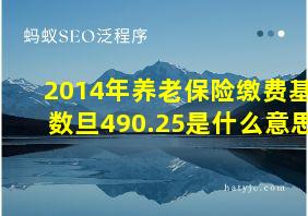 2014年养老保险缴费基数旦490.25是什么意思