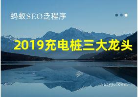 2019充电桩三大龙头