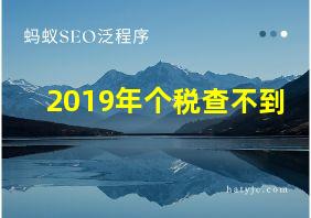 2019年个税查不到