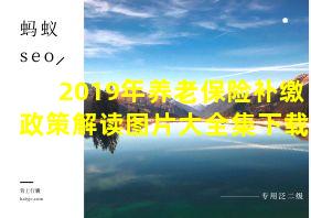 2019年养老保险补缴政策解读图片大全集下载