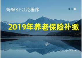 2019年养老保险补缴