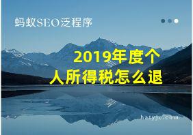 2019年度个人所得税怎么退