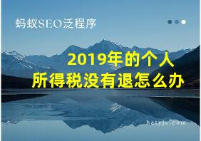 2019年的个人所得税没有退怎么办