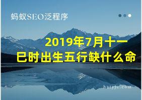 2019年7月十一巳时出生五行缺什么命