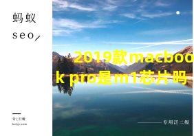 2019款macbook pro是m1芯片吗