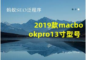 2019款macbookpro13寸型号