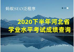 2020下半年河北省学业水平考试成绩查询