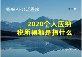 2020个人应纳税所得额是指什么