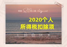 2020个人所得税扣除项