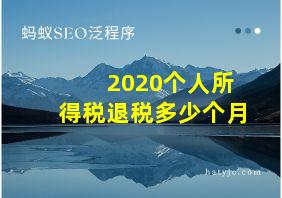 2020个人所得税退税多少个月