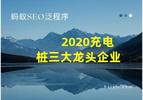 2020充电桩三大龙头企业