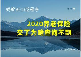 2020养老保险交了为啥查询不到