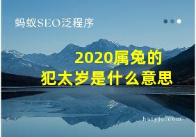 2020属兔的犯太岁是什么意思