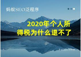 2020年个人所得税为什么退不了