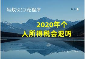 2020年个人所得税会退吗