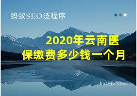 2020年云南医保缴费多少钱一个月