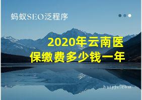 2020年云南医保缴费多少钱一年