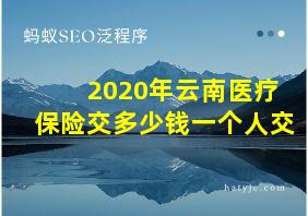 2020年云南医疗保险交多少钱一个人交