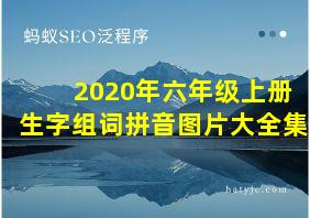 2020年六年级上册生字组词拼音图片大全集