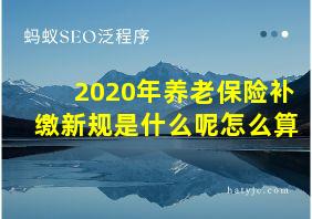 2020年养老保险补缴新规是什么呢怎么算