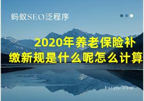 2020年养老保险补缴新规是什么呢怎么计算