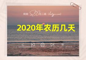 2020年农历几天