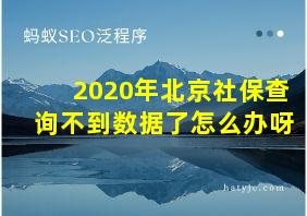 2020年北京社保查询不到数据了怎么办呀