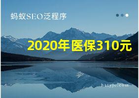 2020年医保310元