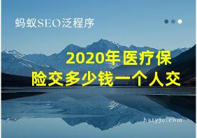 2020年医疗保险交多少钱一个人交