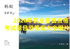 2020年执业兽医资格考试题目及答案大全图片