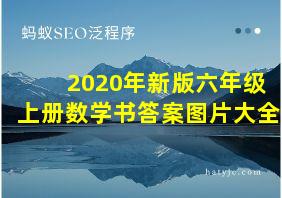 2020年新版六年级上册数学书答案图片大全