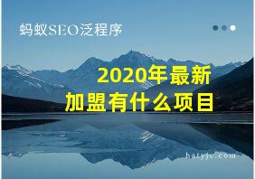 2020年最新加盟有什么项目