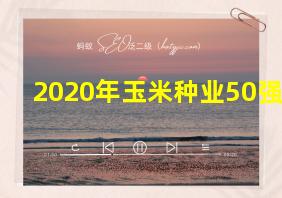 2020年玉米种业50强