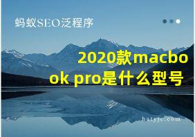 2020款macbook pro是什么型号