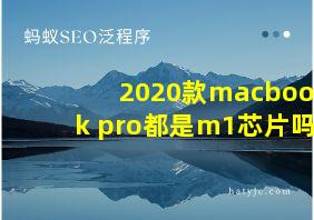 2020款macbook pro都是m1芯片吗