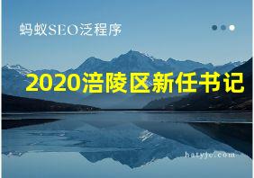 2020涪陵区新任书记