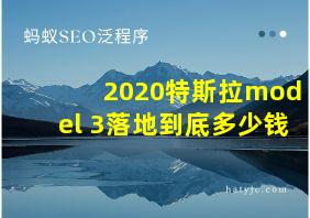 2020特斯拉model 3落地到底多少钱