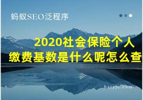 2020社会保险个人缴费基数是什么呢怎么查