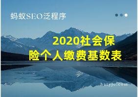 2020社会保险个人缴费基数表