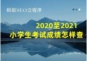 2020至2021小学生考试成绩怎样查