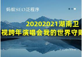 20202021湖南卫视跨年演唱会我的世界守则