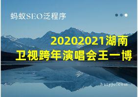 20202021湖南卫视跨年演唱会王一博