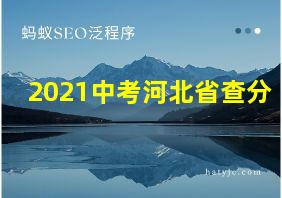 2021中考河北省查分