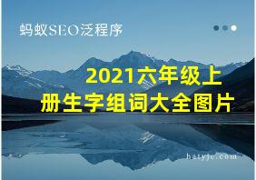 2021六年级上册生字组词大全图片