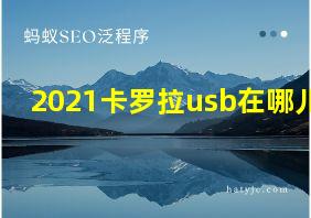 2021卡罗拉usb在哪儿